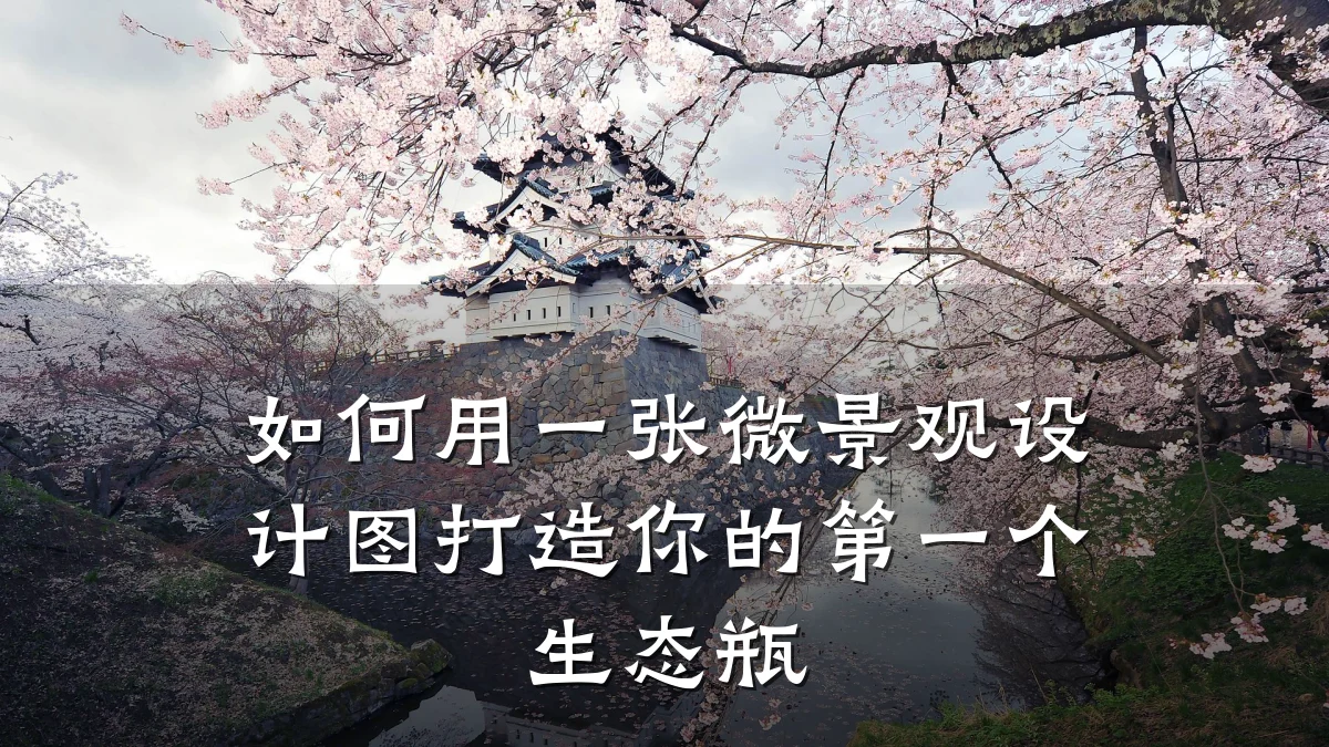 如何用一张微景观设计图打造你的第一个生态瓶