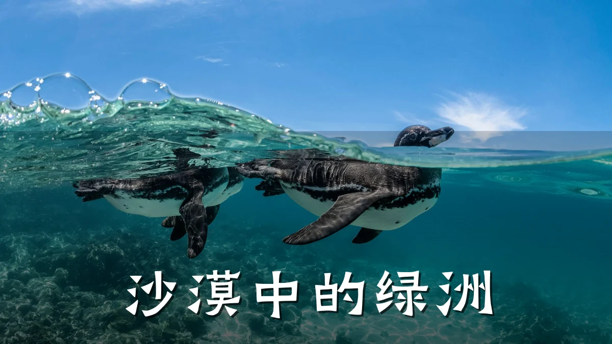 沙漠中的绿洲