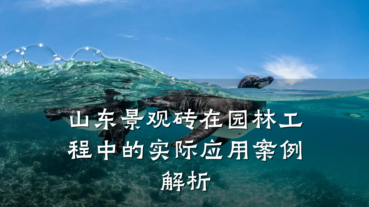 山东景观砖在园林工程中的实际应用案例解析