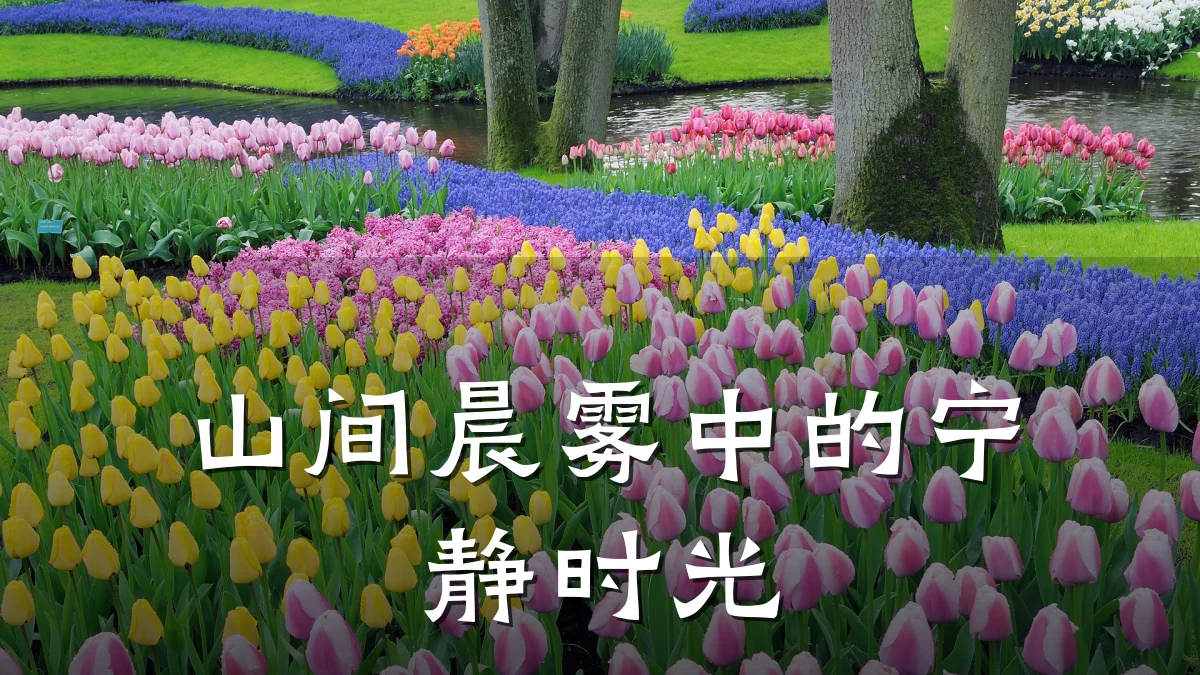 山间晨雾中的宁静时光