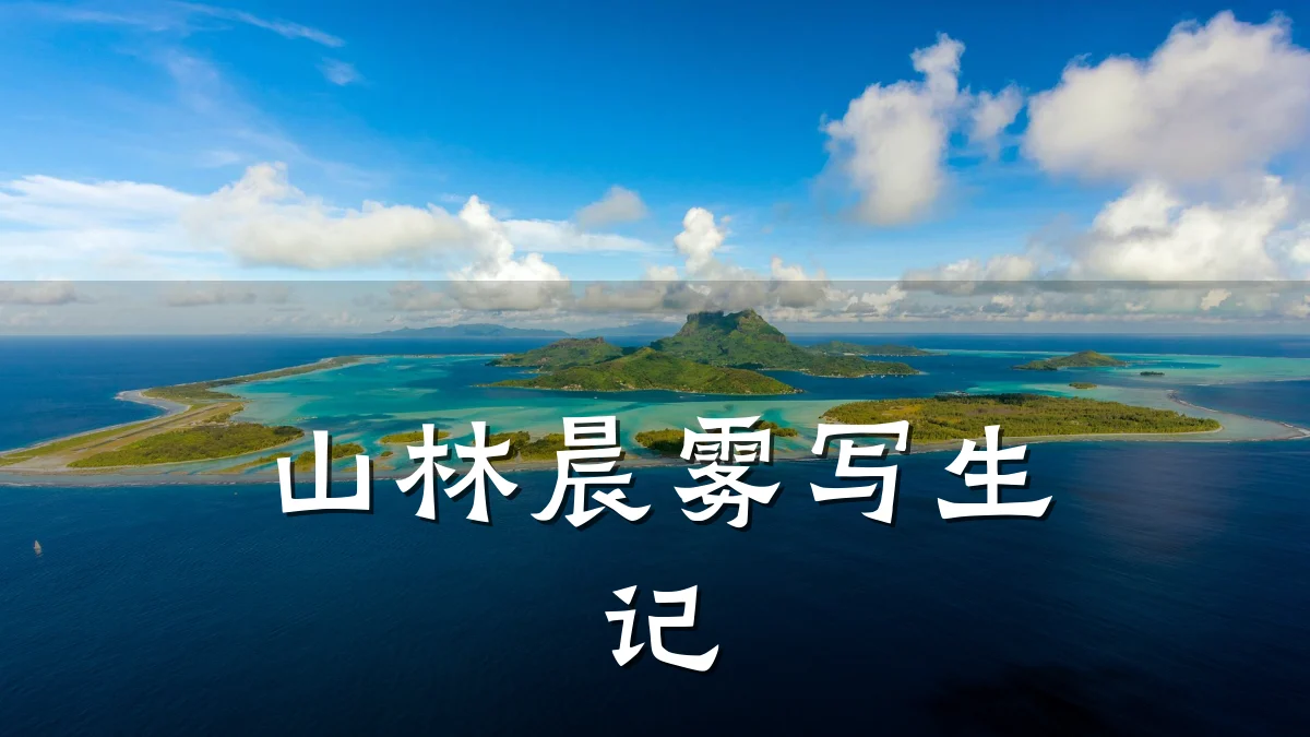 山林晨雾写生记