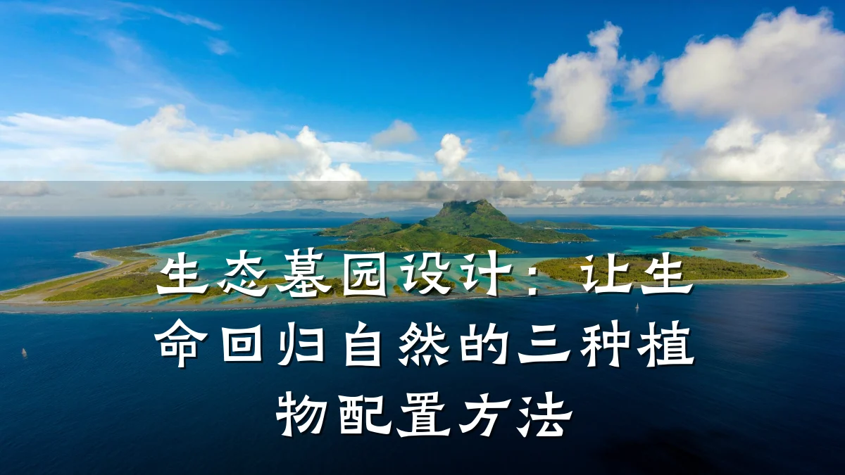 生态墓园设计:让生命回归自然的三种植物配置方法