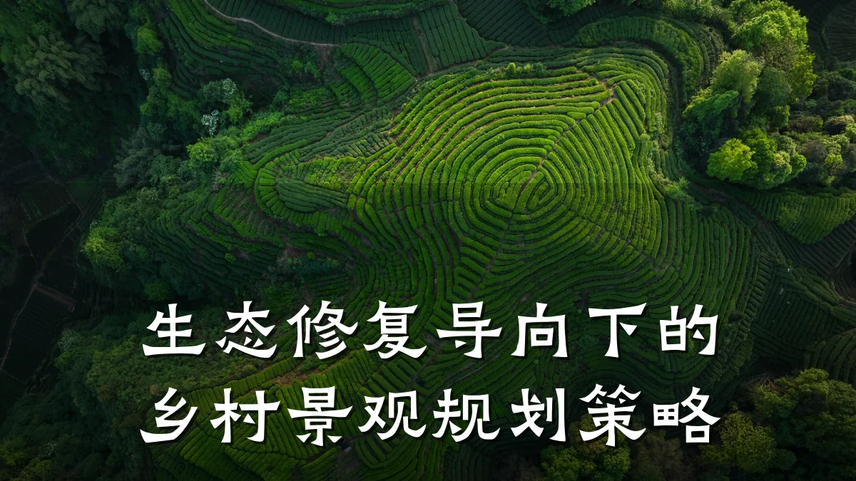 生态修复导向下的乡村景观规划策略