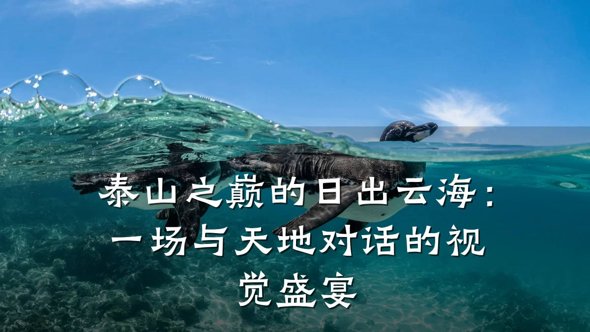 泰山之巅的日出云海:一场与天地对话的视觉盛宴