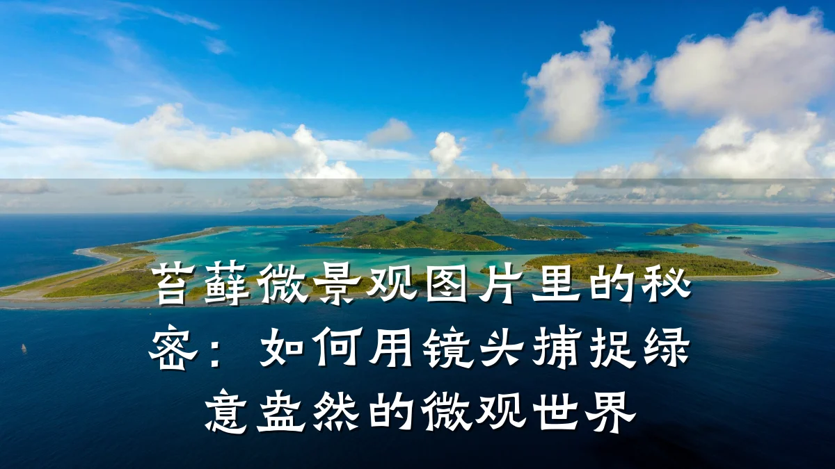 苔藓微景观图片里的秘密:如何用镜头捕捉绿意盎然的微观世界