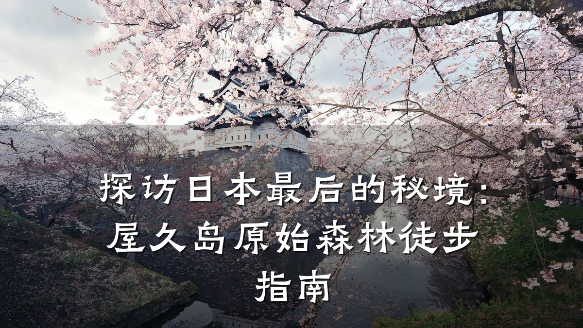 探访日本最后的秘境：屋久岛原始森林徒步指南