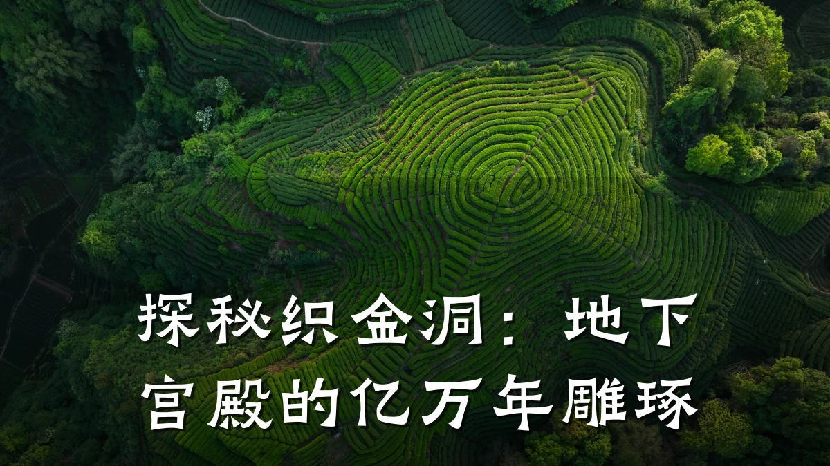 探秘织金洞:地下宫殿的亿万年雕琢