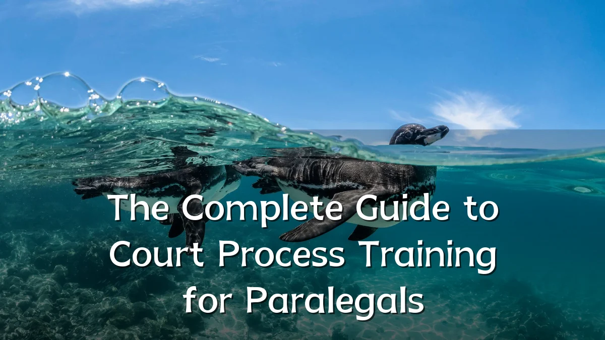 The Complete Guide to Court Process Training for Paralegals