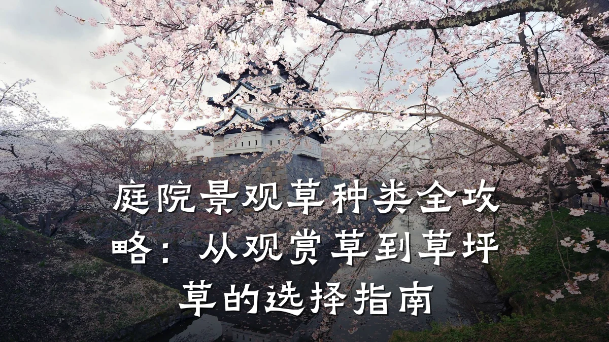 庭院景观草种类全攻略：从观赏草到草坪草的选择指南