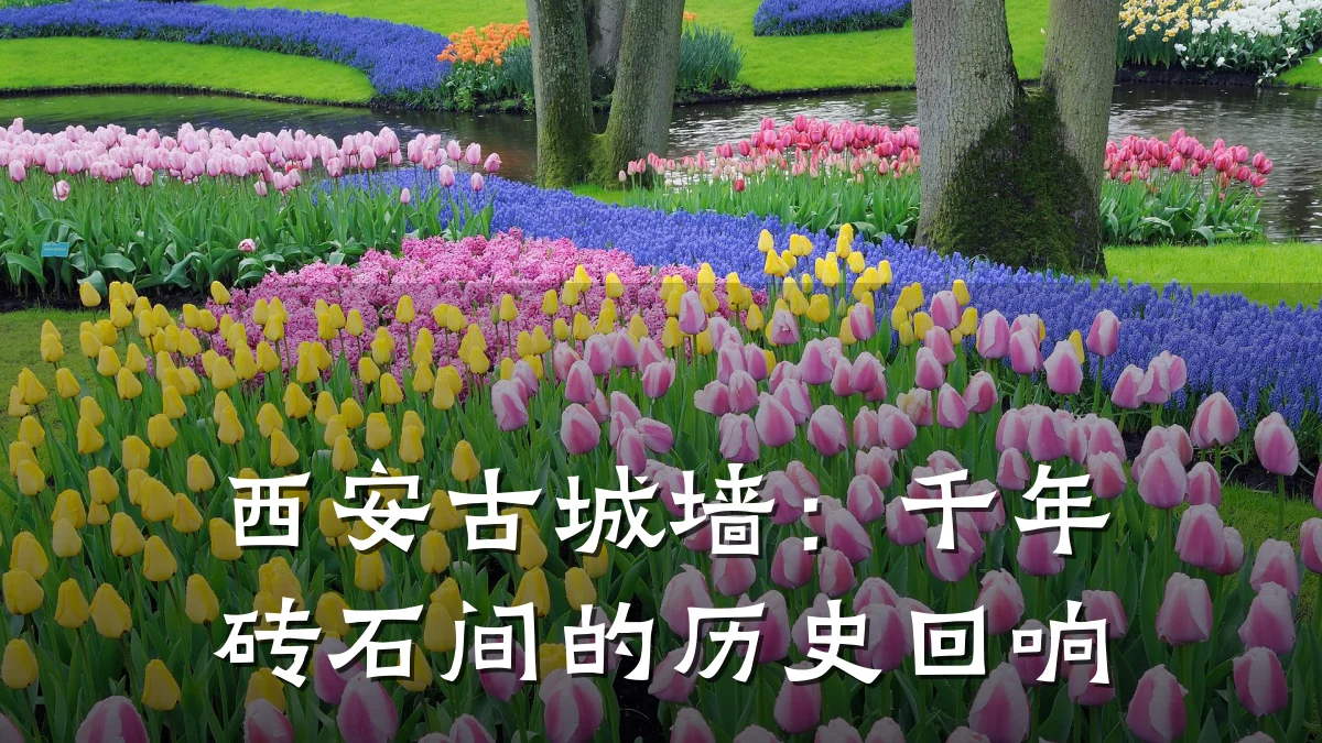西安古城墙:千年砖石间的历史回响