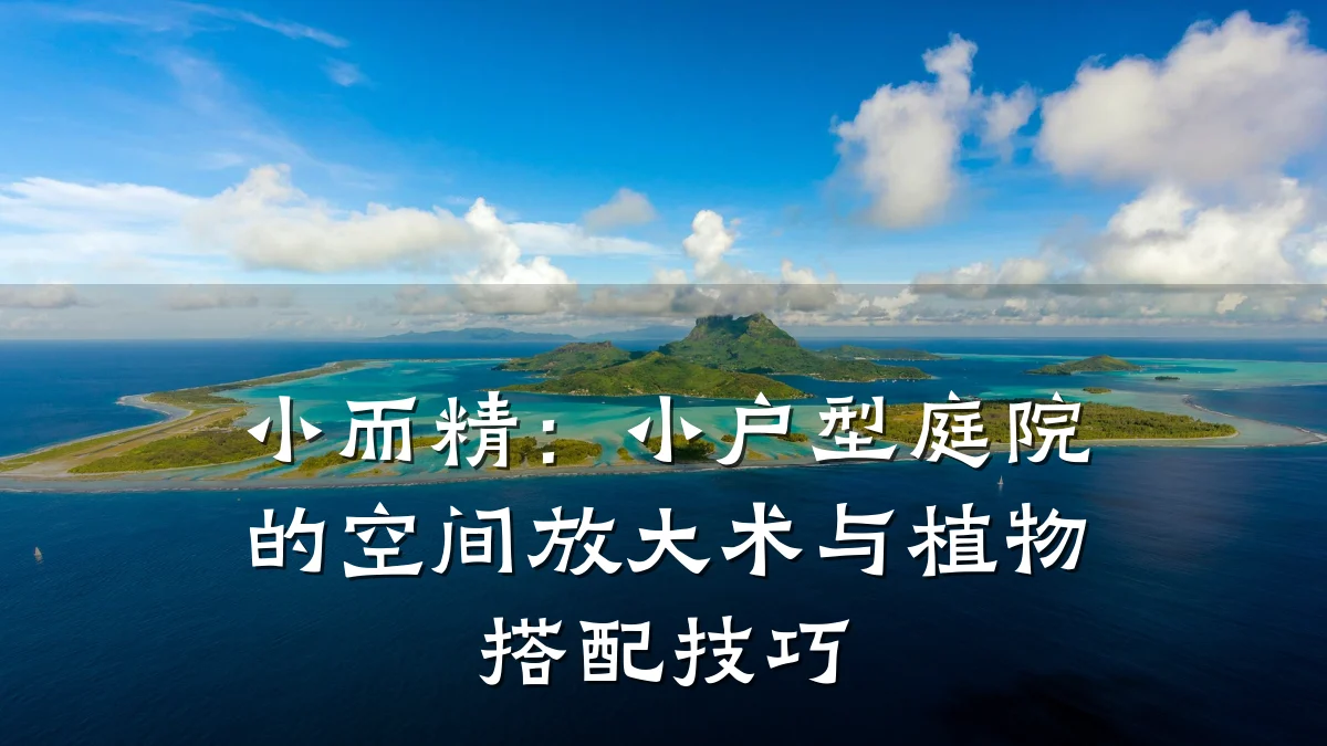 小而精:小户型庭院的空间放大术与植物搭配技巧