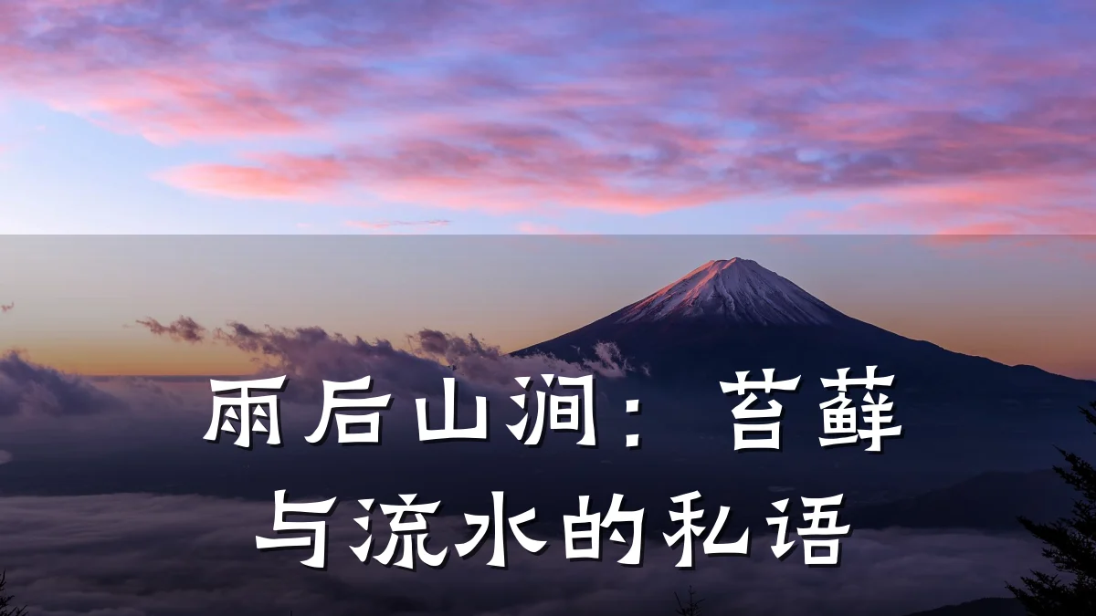 雨后山涧:苔藓与流水的私语