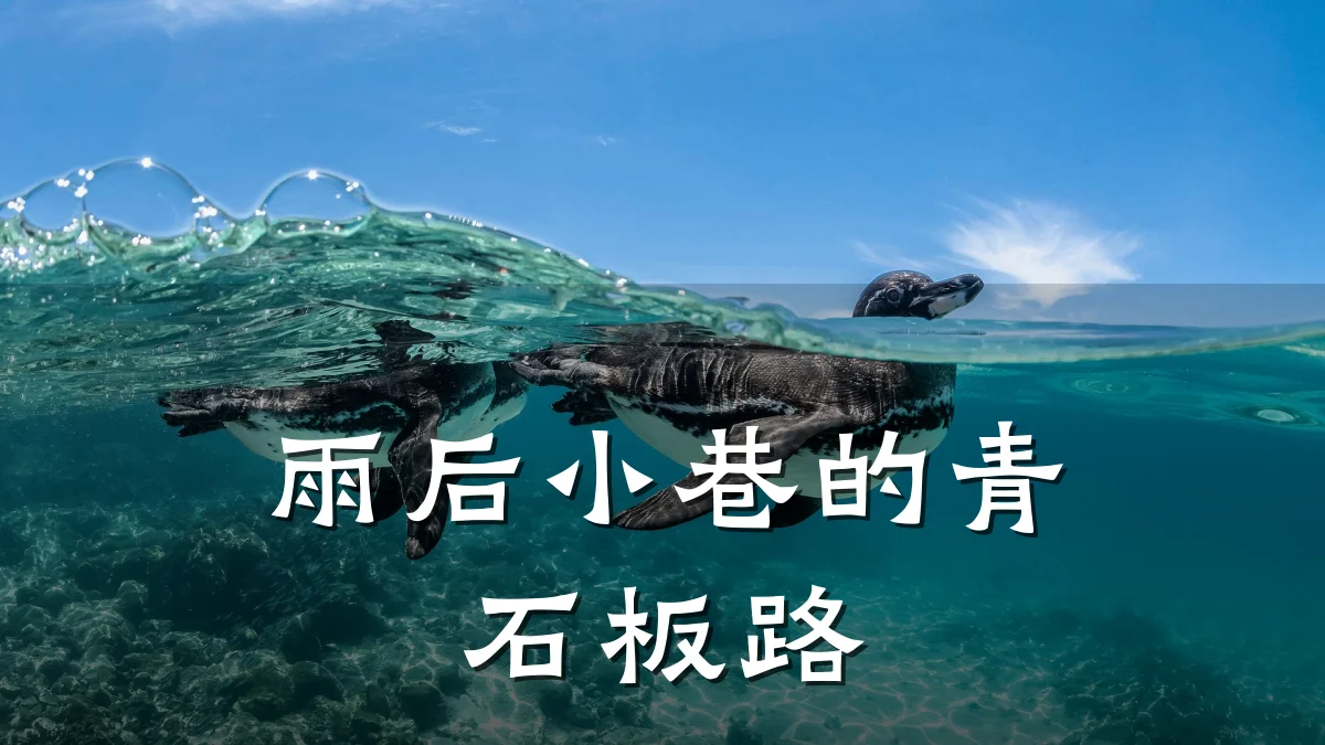 雨后小巷的青石板路