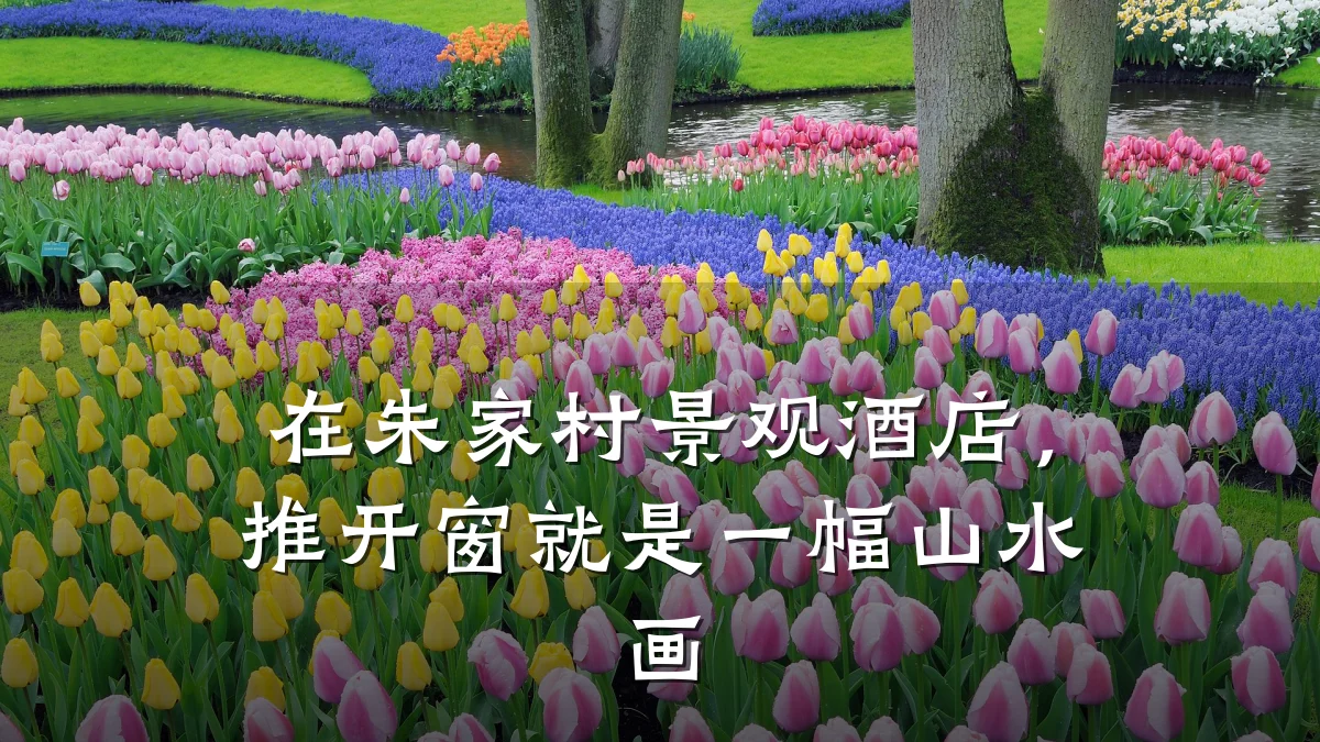 在朱家村景观酒店,推开窗就是一幅山水画