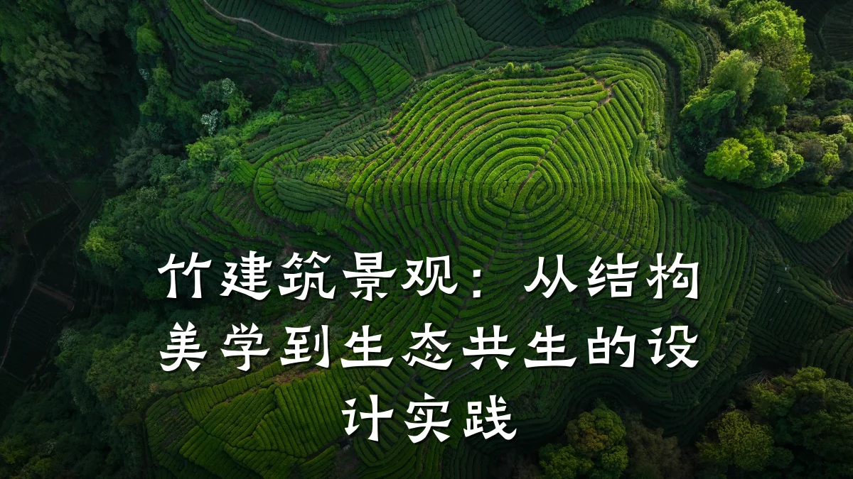 竹建筑景观:从结构美学到生态共生的设计实践