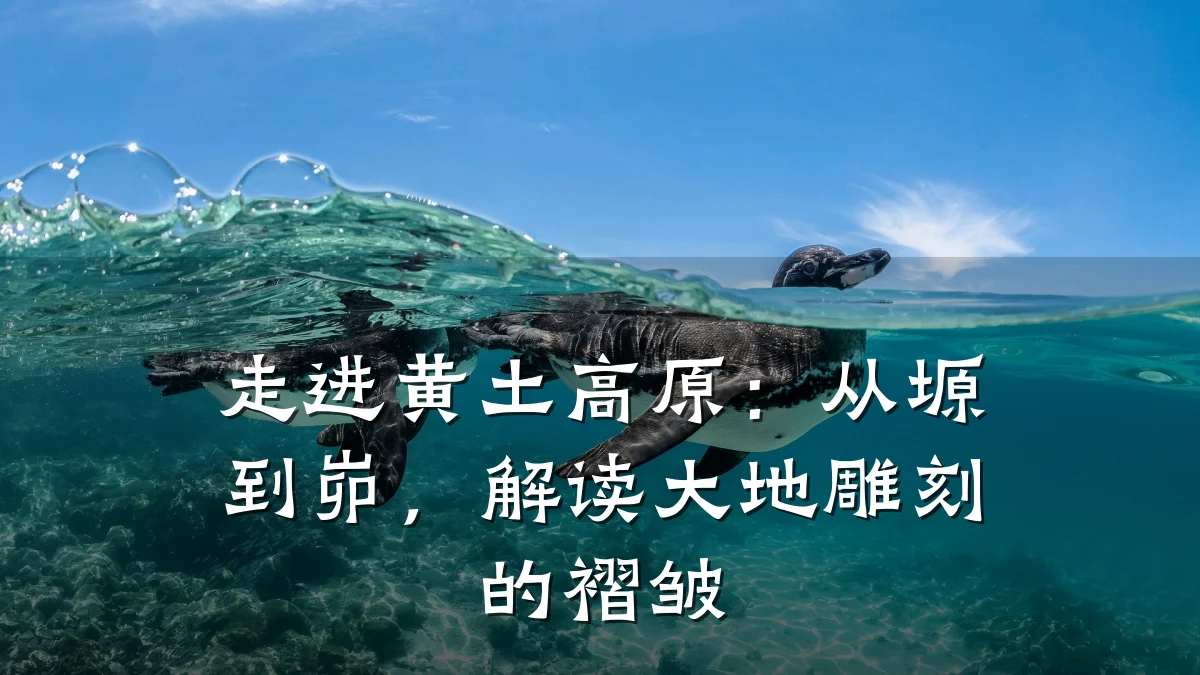 走进黄土高原:从塬到峁,解读大地雕刻的褶皱
