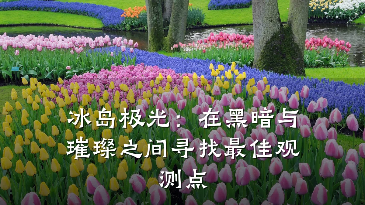 冰岛极光：在黑暗与璀璨之间寻找最佳观测点