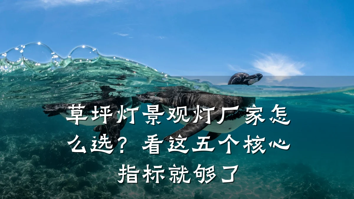 草坪灯景观灯厂家怎么选?看这五个核心指标就够了
