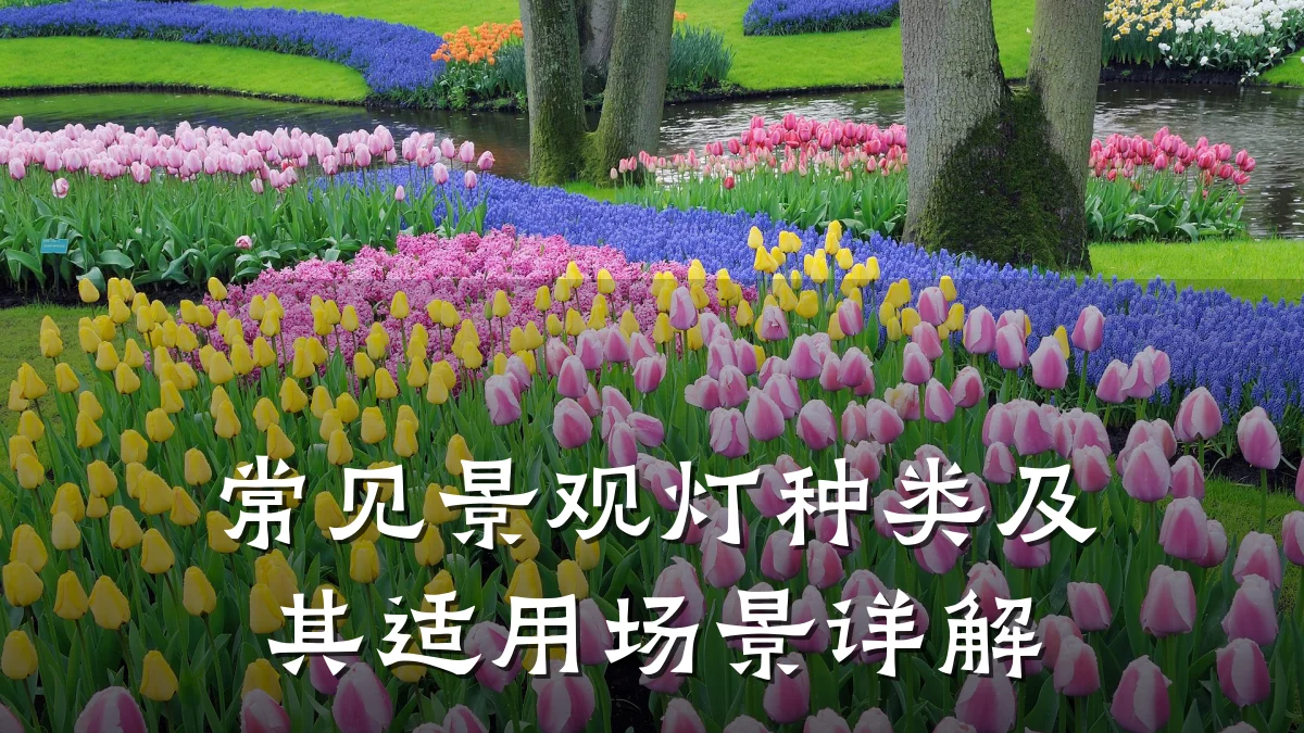 常见景观灯种类及其适用场景详解