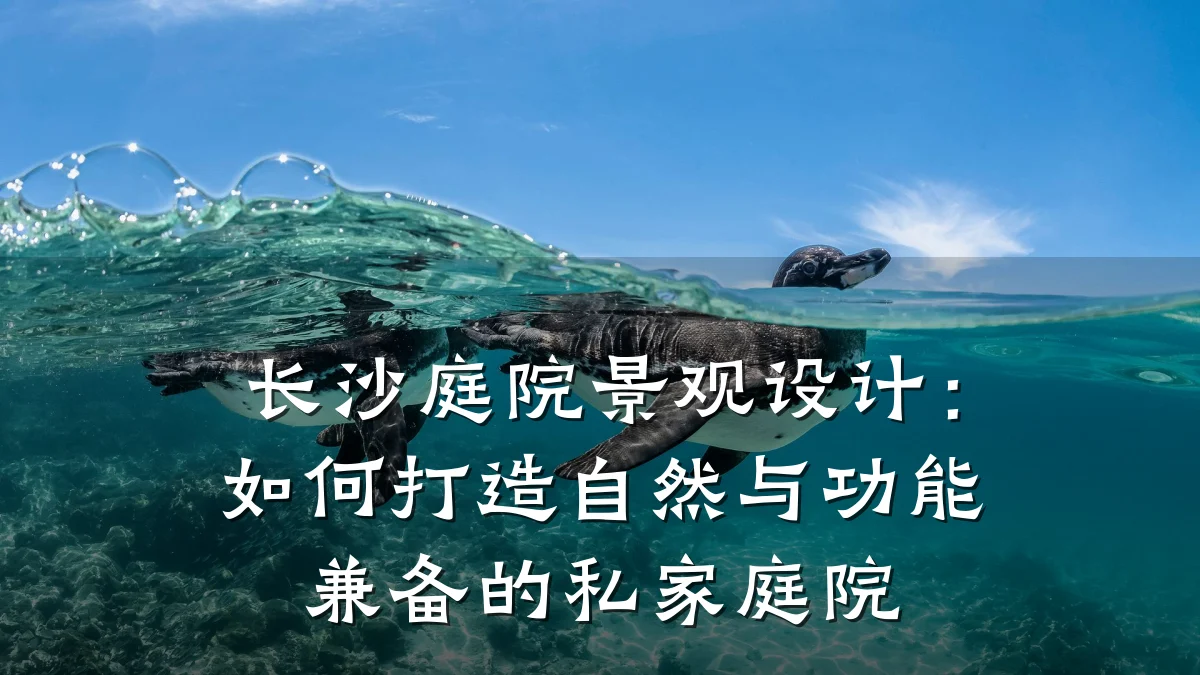 长沙庭院景观设计:如何打造自然与功能兼备的私家庭院