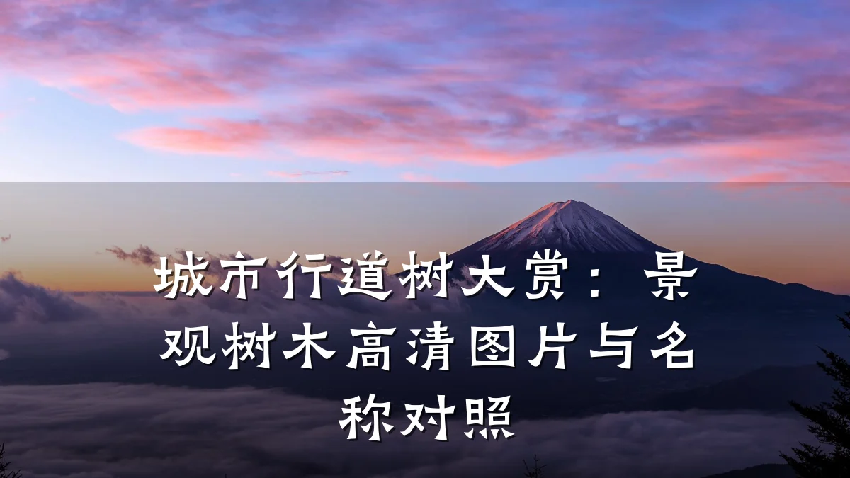 城市行道树大赏:景观树木高清图片与名称对照