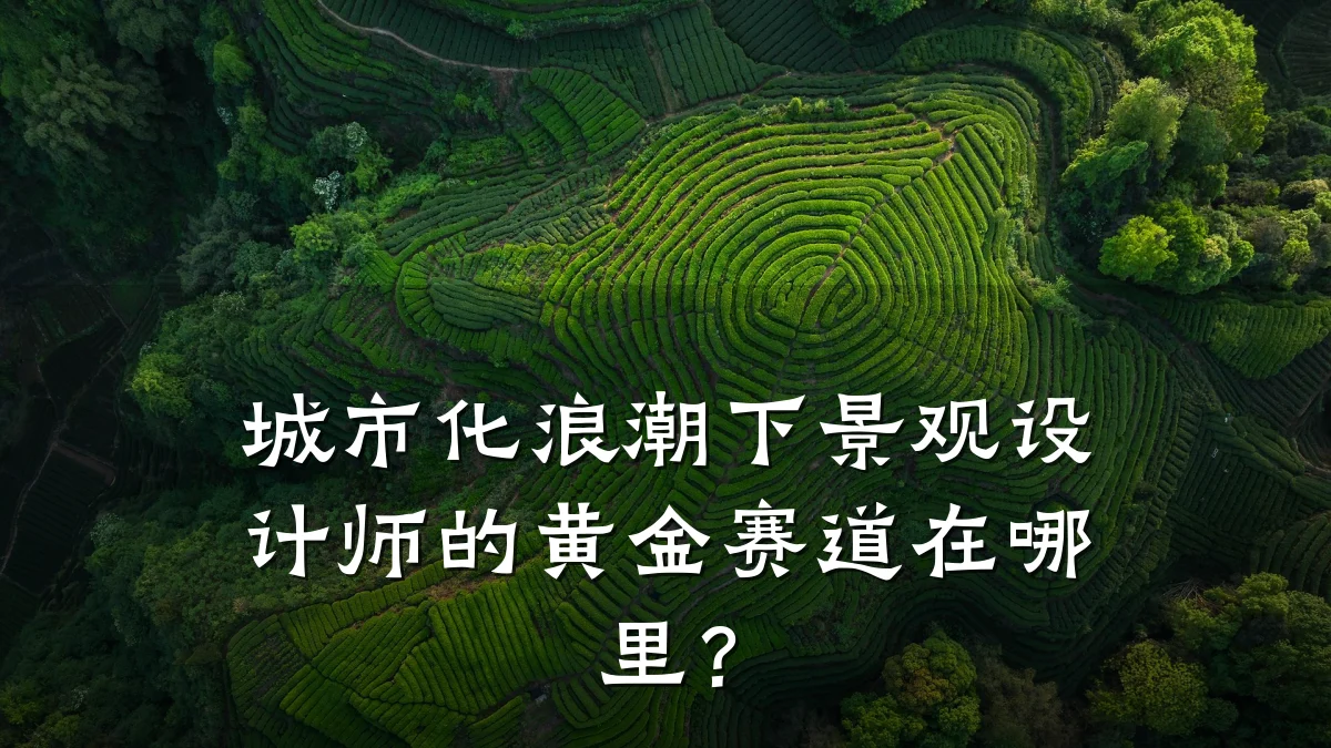 城市化浪潮下景观设计师的黄金赛道在哪里?