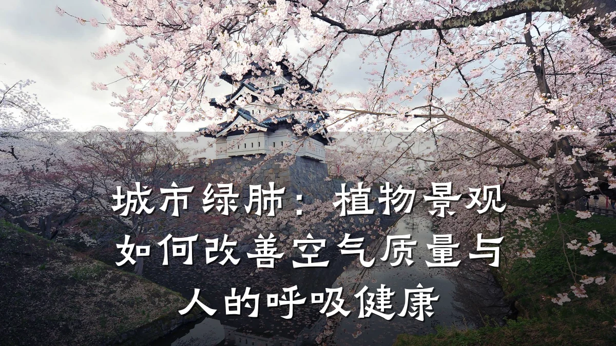 城市绿肺:植物景观如何改善空气质量与人的呼吸健康