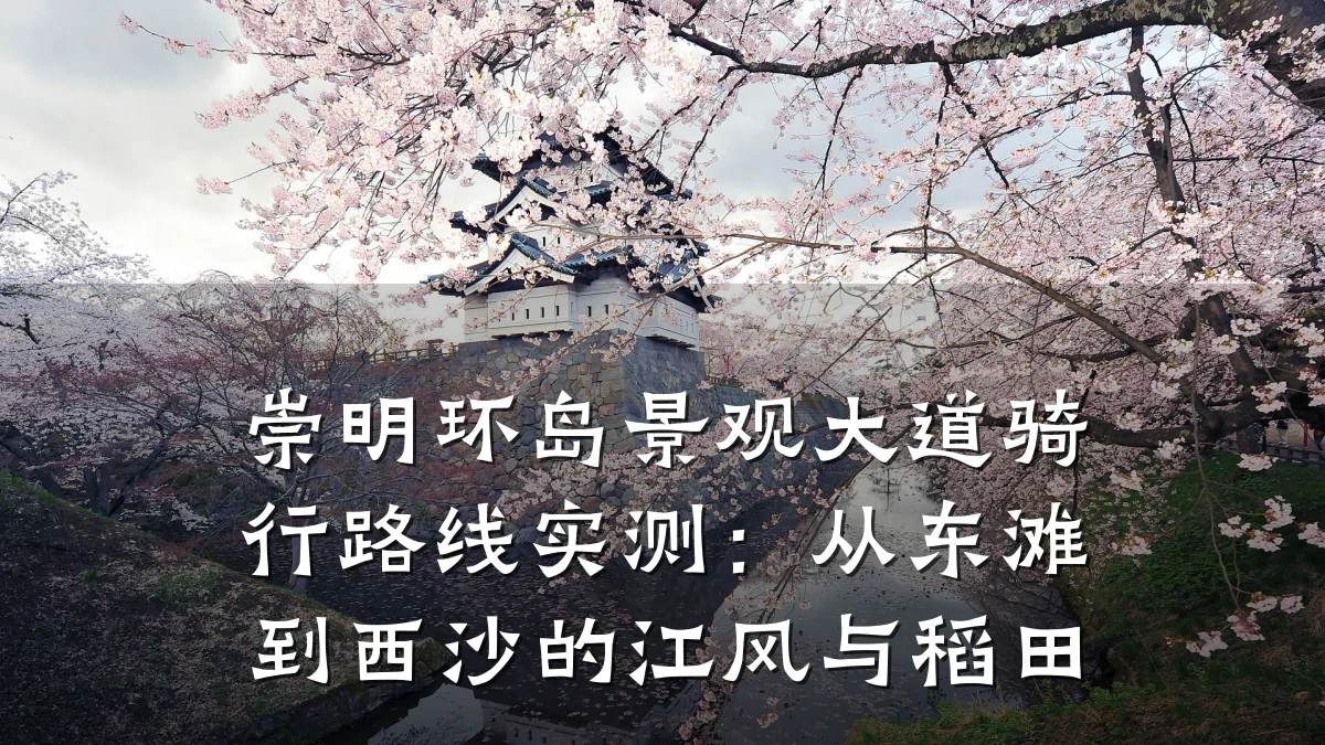 崇明环岛景观大道骑行路线实测:从东滩到西沙的江风与稻田