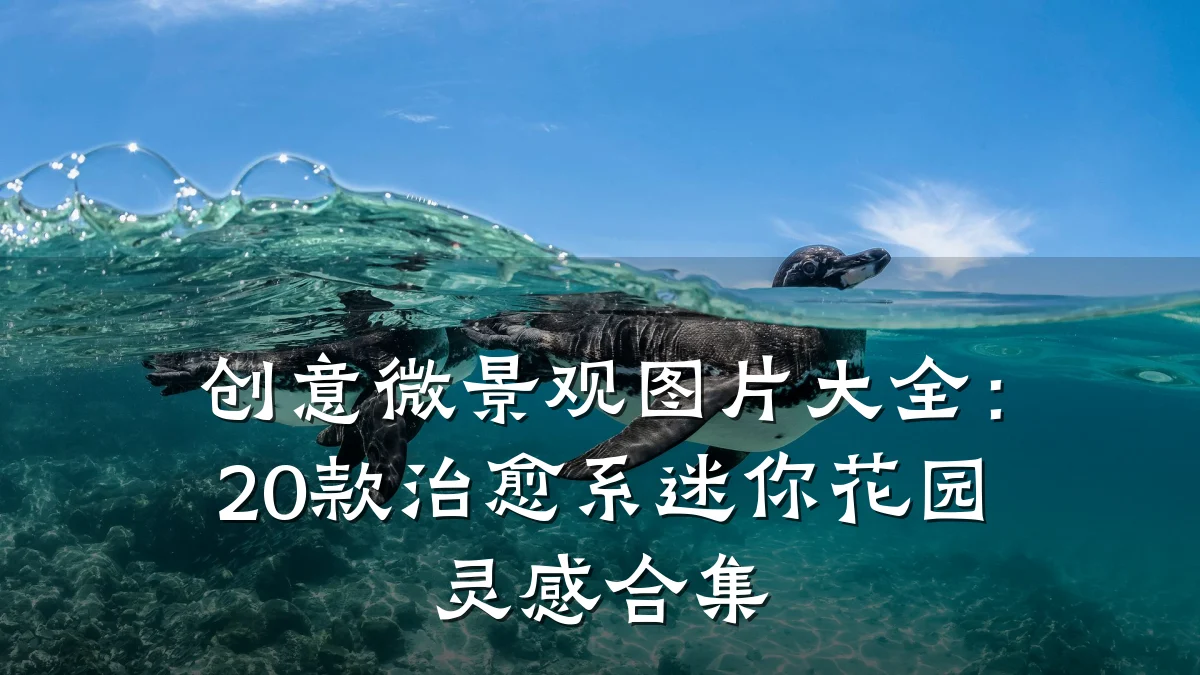 创意微景观图片大全：20款治愈系迷你花园灵感合集
