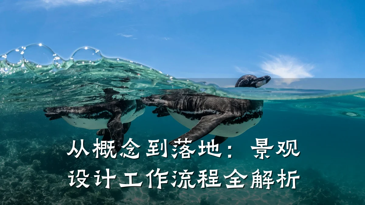 从概念到落地：景观设计工作流程全解析