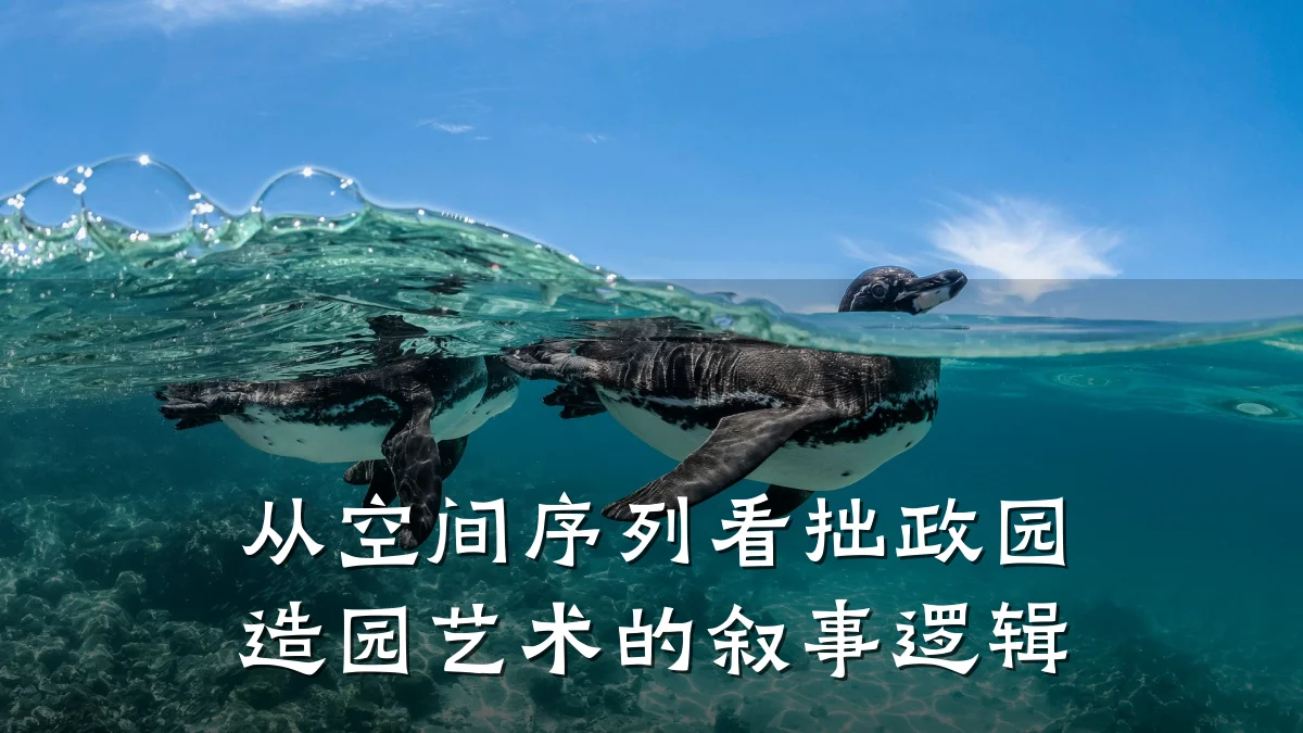 从空间序列看拙政园造园艺术的叙事逻辑