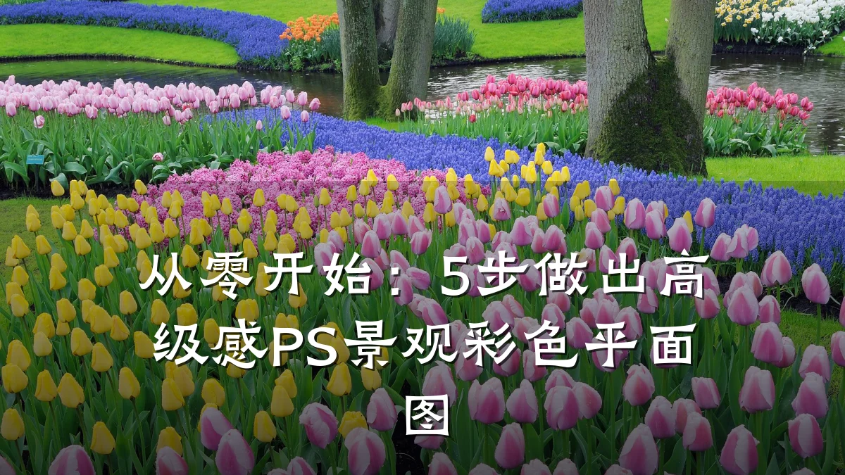 从零开始：5步做出高级感PS景观彩色平面图