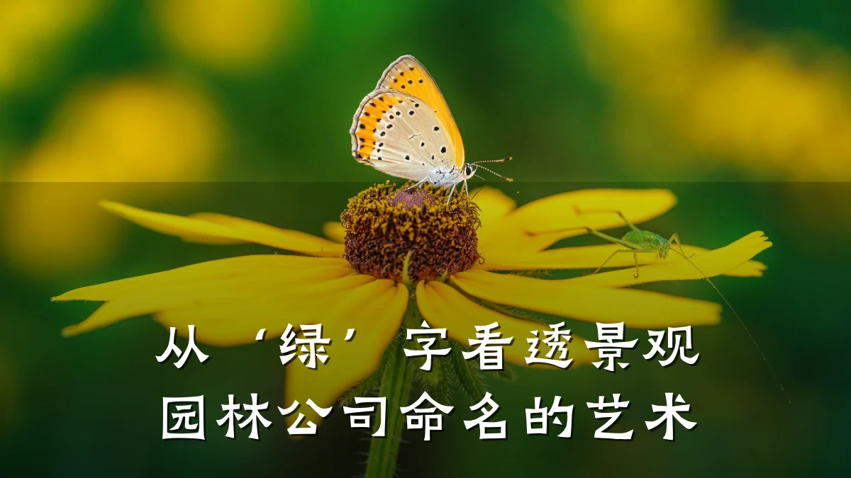 从‘绿’字看透景观园林公司命名的艺术