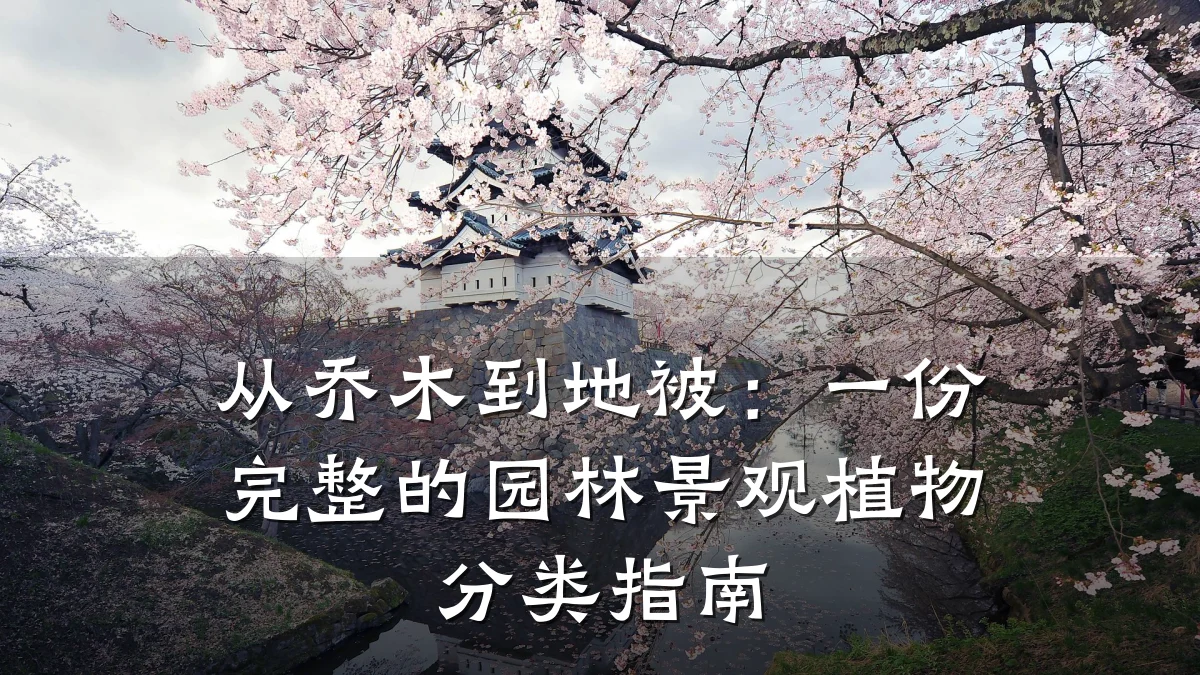 从乔木到地被:一份完整的园林景观植物分类指南