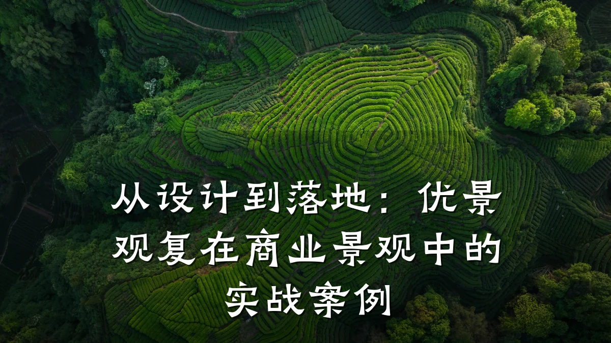 从设计到落地：优景观复在商业景观中的实战案例