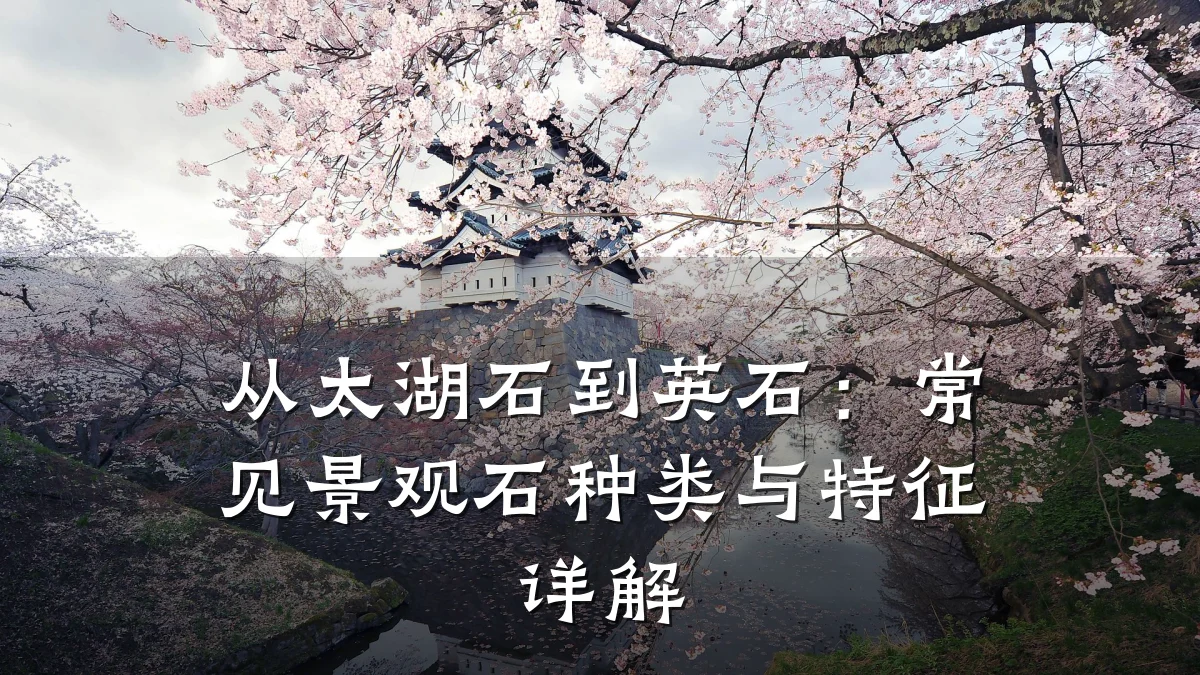 从太湖石到英石:常见景观石种类与特征详解