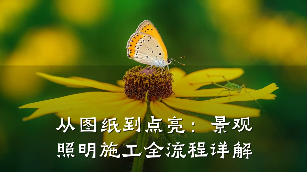 从图纸到点亮:景观照明施工全流程详解