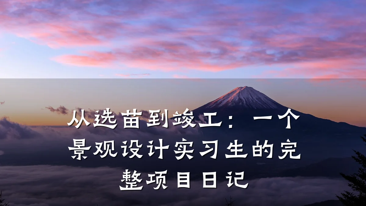 从选苗到竣工：一个景观设计实习生的完整项目日记