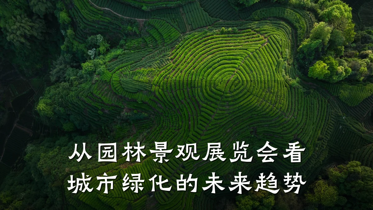从园林景观展览会看城市绿化的未来趋势
