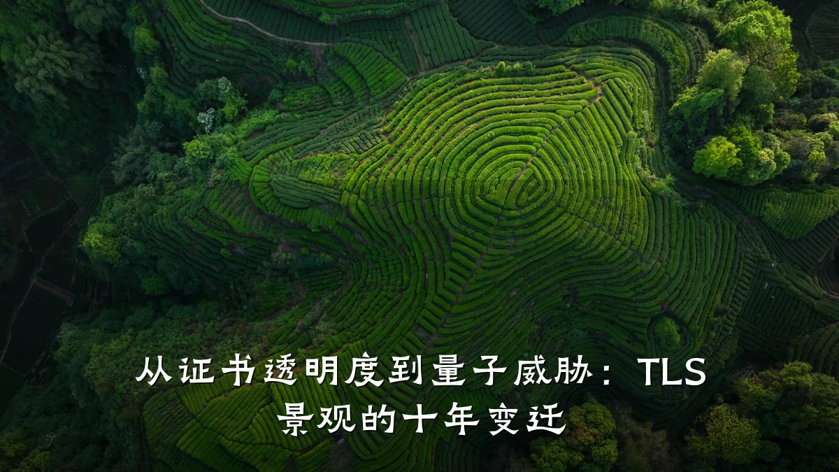 从证书透明度到量子威胁:TLS 景观的十年变迁