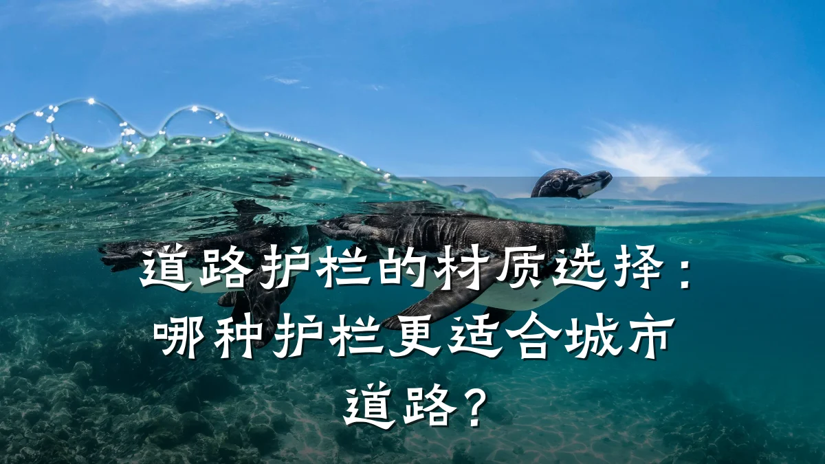 道路护栏的材质选择：哪种护栏更适合城市道路？
