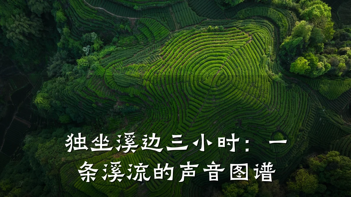 独坐溪边三小时：一条溪流的声音图谱