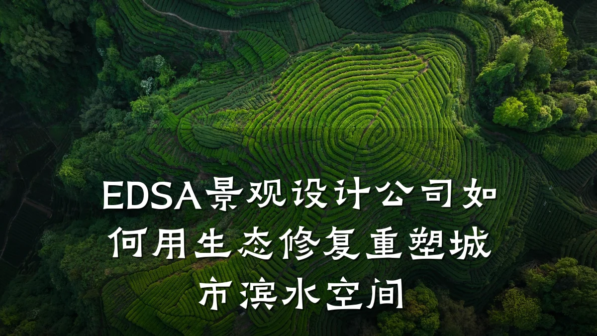 EDSA景观设计公司如何用生态修复重塑城市滨水空间