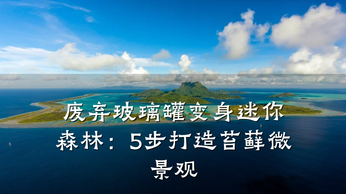 废弃玻璃罐变身迷你森林：5步打造苔藓微景观