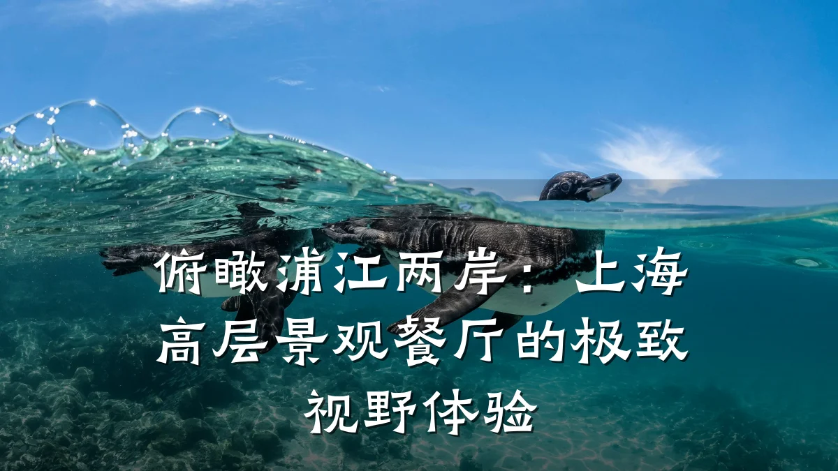 俯瞰浦江两岸:上海高层景观餐厅的极致视野体验