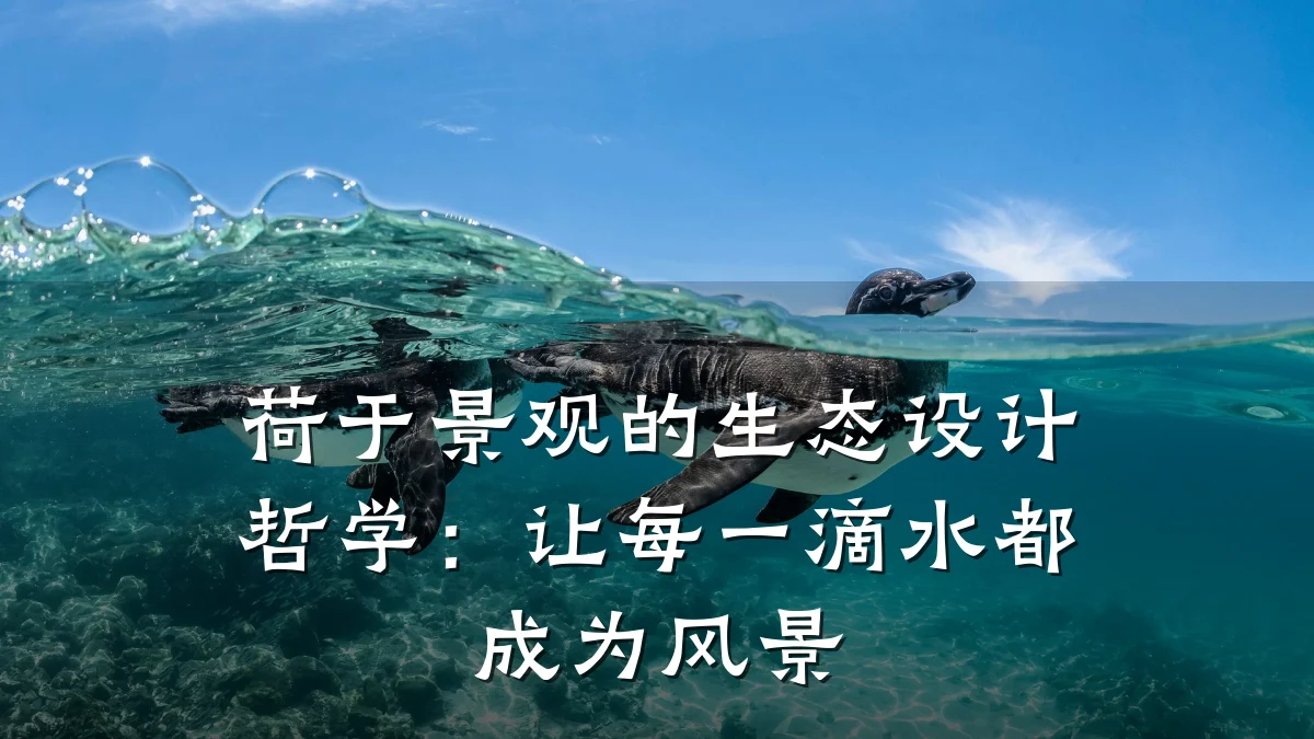 荷于景观的生态设计哲学：让每一滴水都成为风景