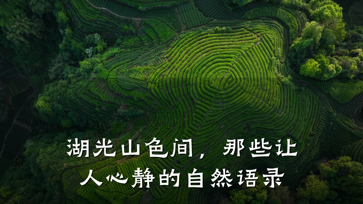 湖光山色间，那些让人心静的自然语录
