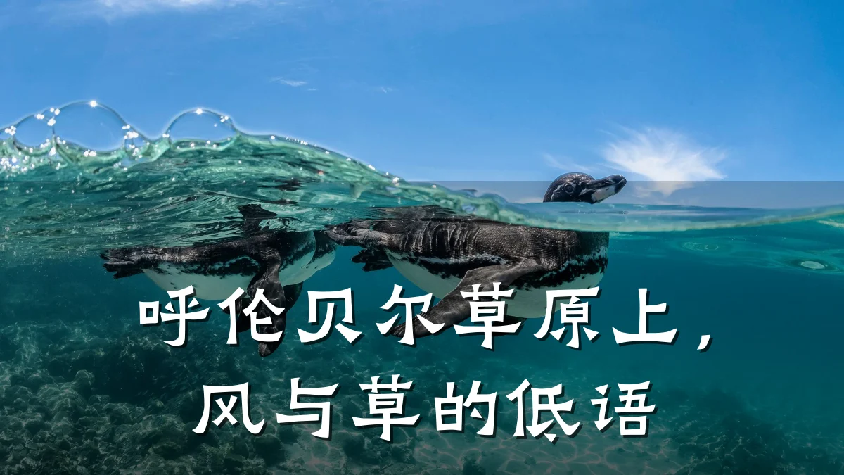 呼伦贝尔草原上,风与草的低语