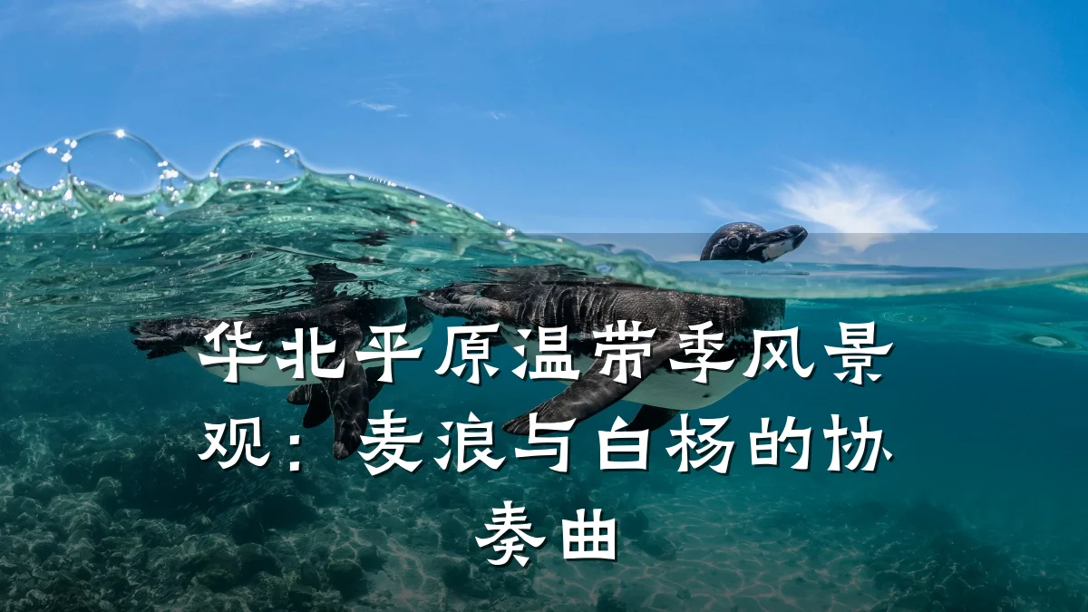 华北平原温带季风景观:麦浪与白杨的协奏曲