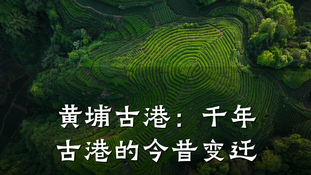 黄埔古港:千年古港的今昔变迁
